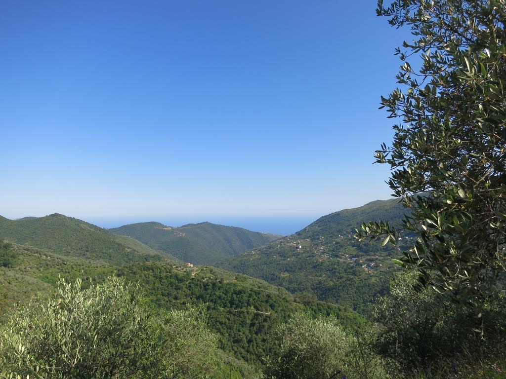 Rustic Liguria Villa Ceriana Eksteriør bilde