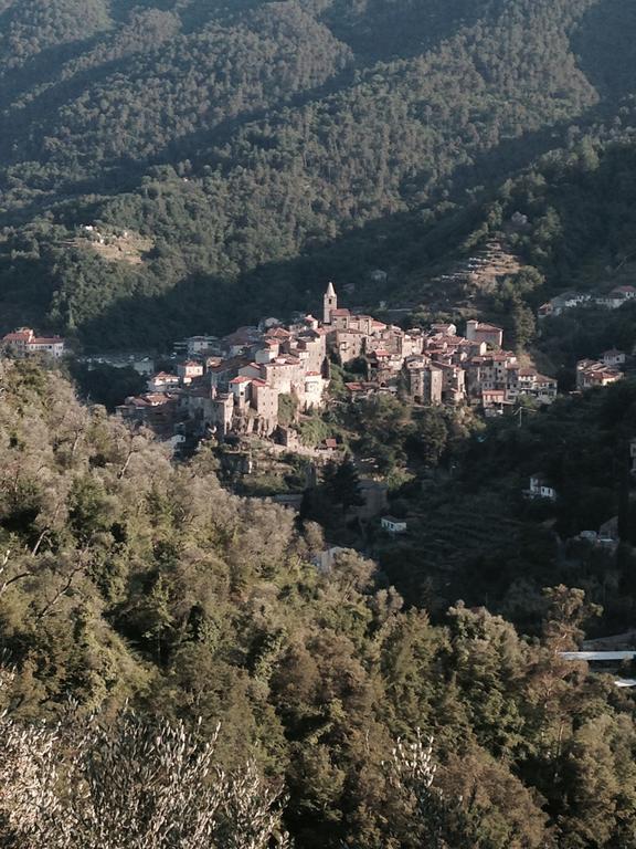 Rustic Liguria Villa Ceriana Eksteriør bilde